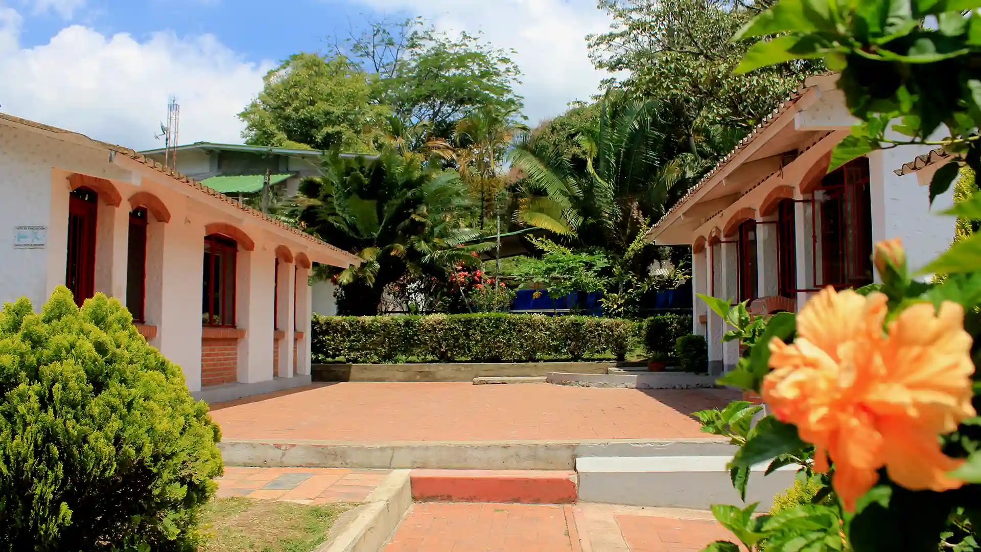 Gimnasio Campestre Ibagué - La responsabilidad de ser ¡Diferentes! 4 svg+xml;charset=utf